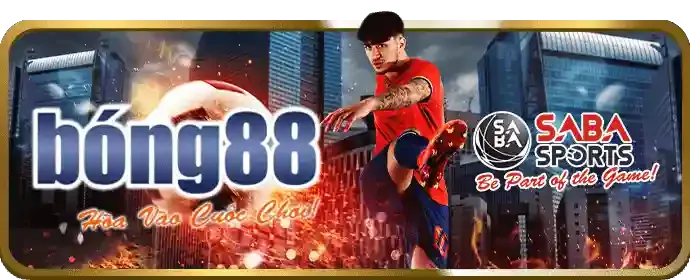 Cá cược Tennis win78 app